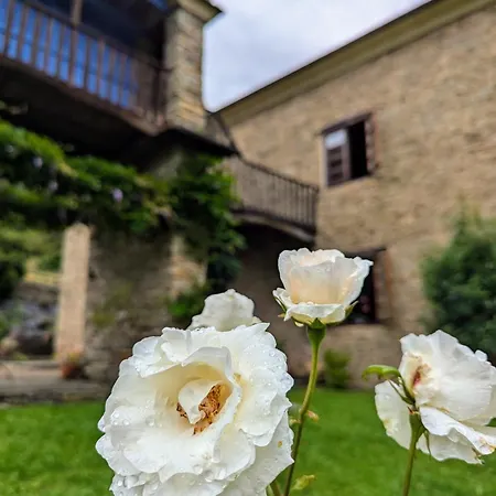 호텔 Casa Donano